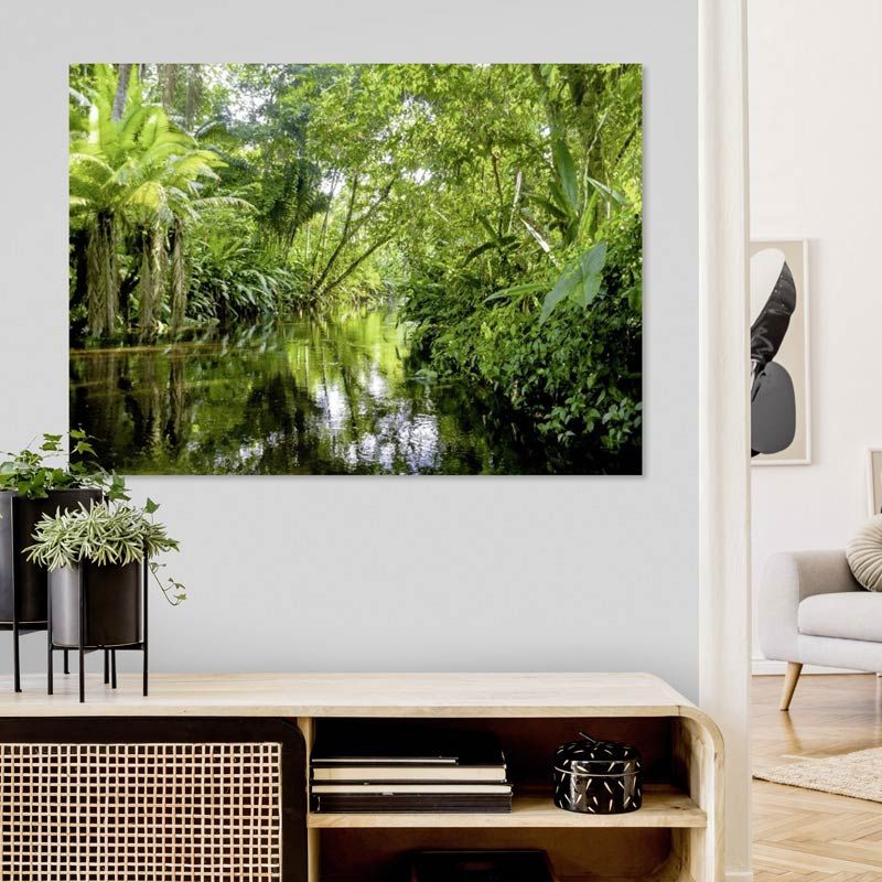 Tropical forest canvas print - extra large picture of an exotic jungle