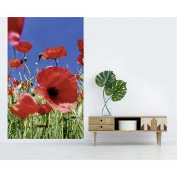 COQUELICOT wallpaper