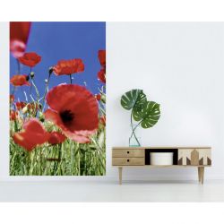 COQUELICOT - Papel pintado de una sola tira de amapola