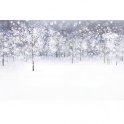 Póster BOSQUE BLANCO