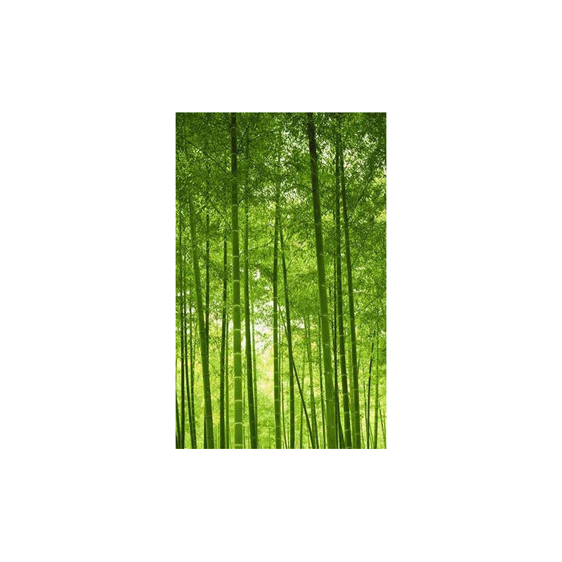 BAMBOO FOREST Wall hanging - Nature wall hanging