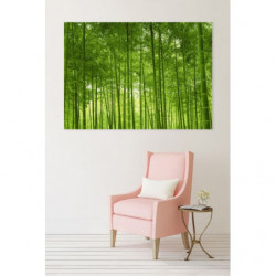 BAMBOO FOREST Canvas print