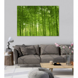 BAMBOO FOREST Canvas print