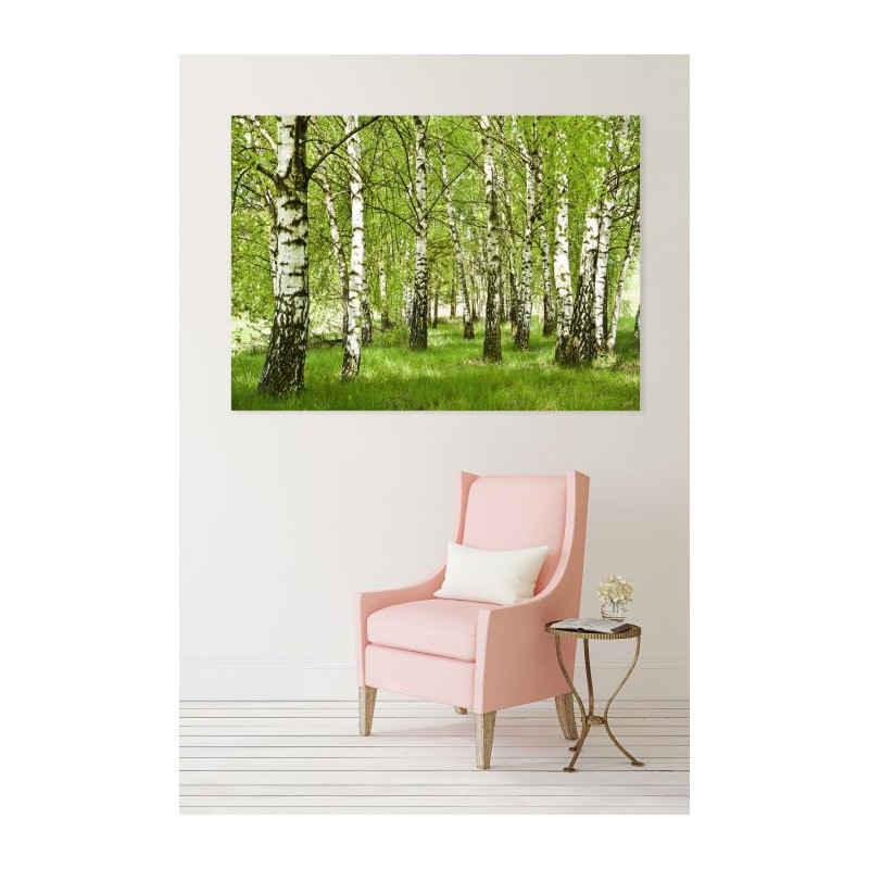 BIRCH FOREST Canvas print