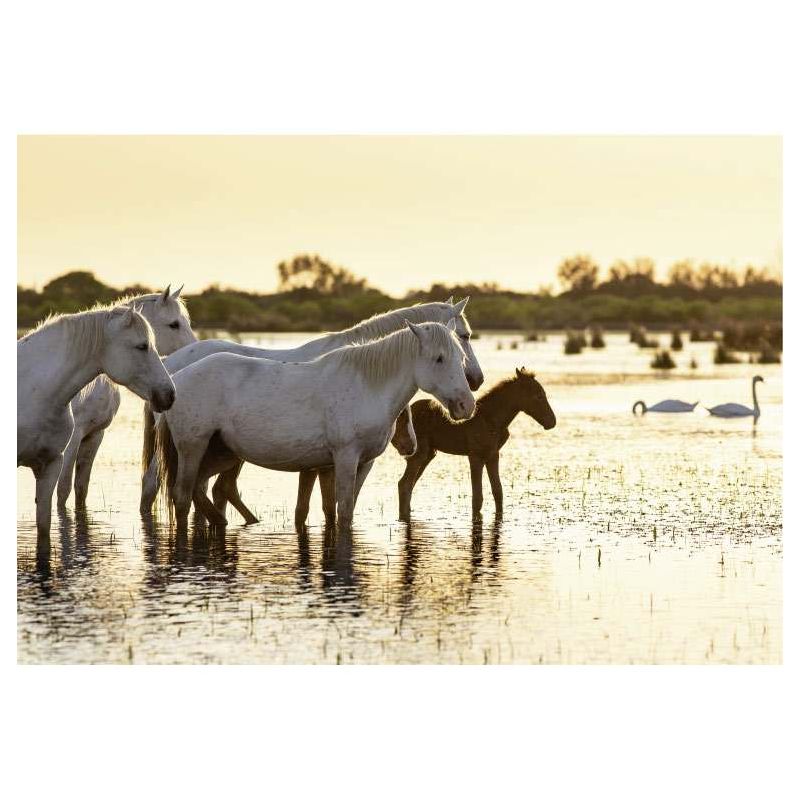 GOLDEN HOUR canvas print - Landscape and nature canvas