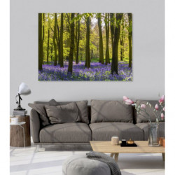 Tableau FORET DE JACINTHES