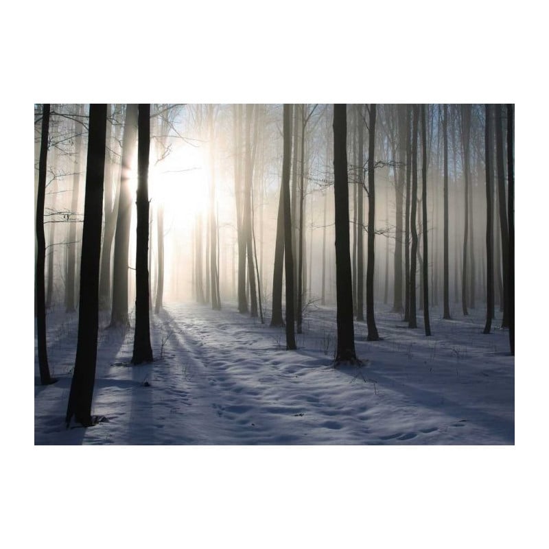 Poster FORET D'HIVER - Poster