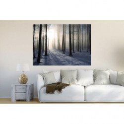 Póster BOSQUE DE INVIERNO