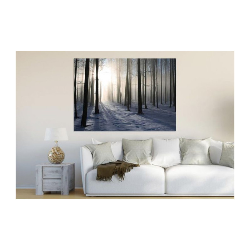 WINTER FOREST poster