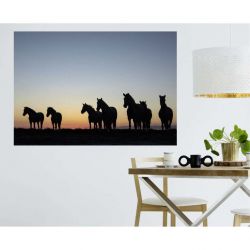 Poster CREPUSCULE