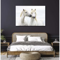 Poster chevaux blancs