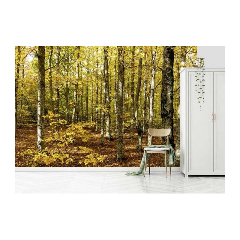 Poster FORET DU VENTOUX