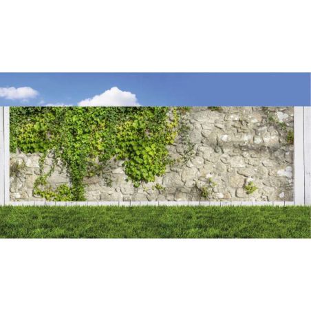 Brise vue jardin mur de pierre HEDERA