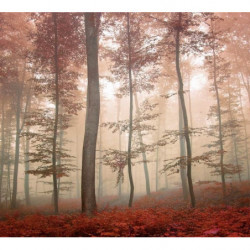 Poster forêt pourpre aux couleurs automnales