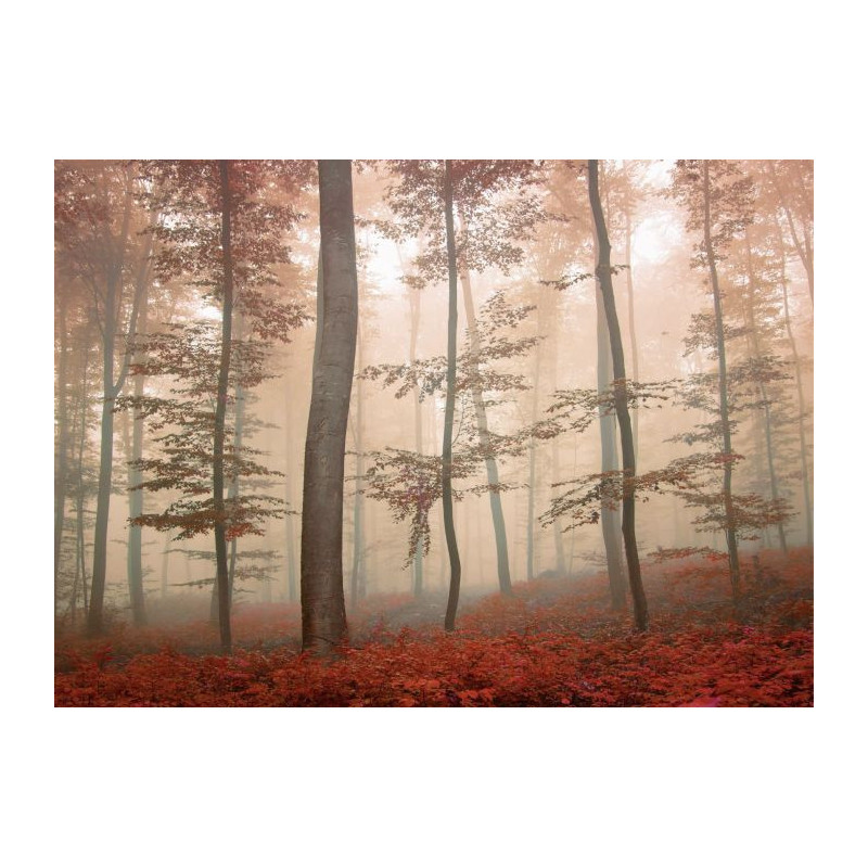 PURPLE FOREST Canvas print - Xxl canvas prints