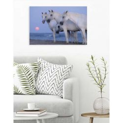 Canvas print of Camargue horses, seaside and mauve sky