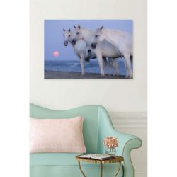 Canvas print of Camargue horses, seaside and mauve sky