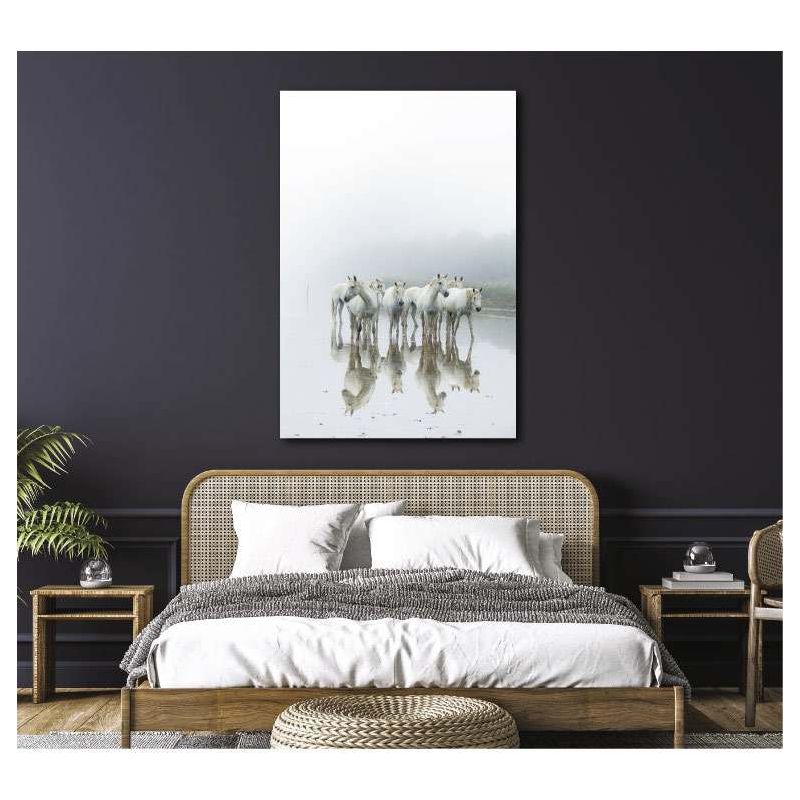 Poster of a white horse in the fog | Scenolia Home Decor