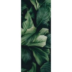 Poster panoramique plante verte contemporain