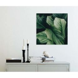 Tableau VARIABLE VEGETALE