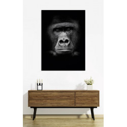 GORILLA Canvas print