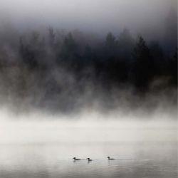 LAX LAKE MINNESOTA
