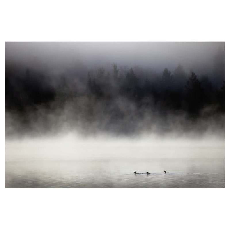 LAX LAKE MINNESOTA canvas print - Scandinavian painting