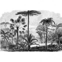 Póster GRABADO DE PALMERAS