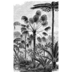 Tapiz pared GRABADO DE PALMERAS