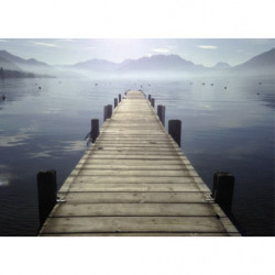 ANNECY IN THE MIST Canvas print