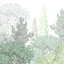 FORET BOTANIQUE