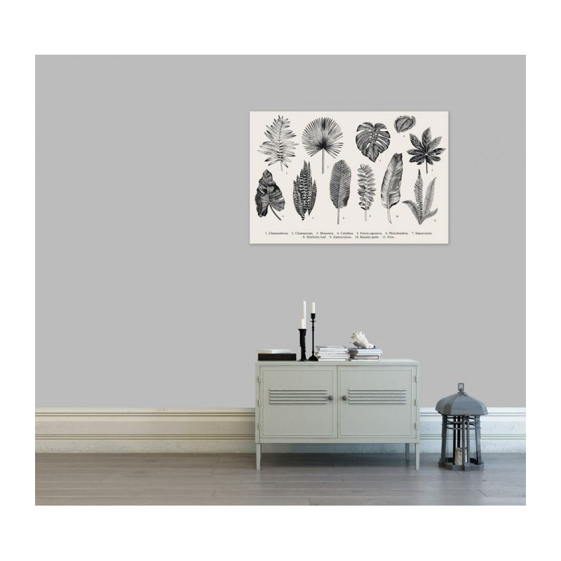OLD HERBARY canvas print
