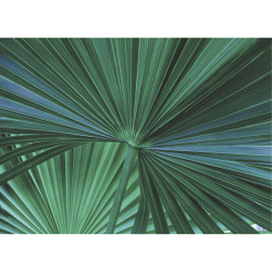 ABSTRACT GREEN