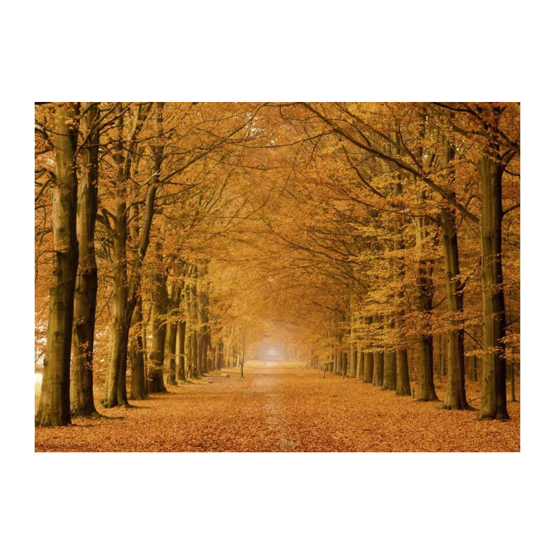 Poster ALLEE CAVALIERE - Poster paysage et nature