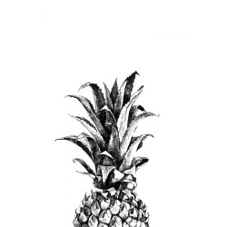 Affiche design ananas noir et blanc