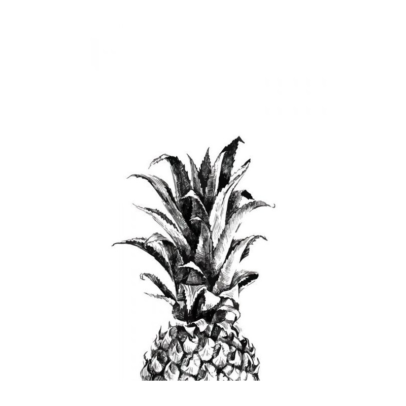 Poster ANANAS BLACK AND WHITE - Poster cuisine