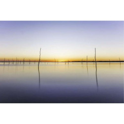 BASSIN D ARCACHON