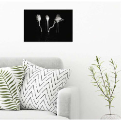 Poster mural flamants roses en photo noir et blanc