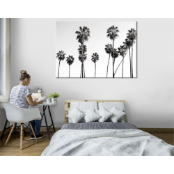 Poster palmier noir et blanc