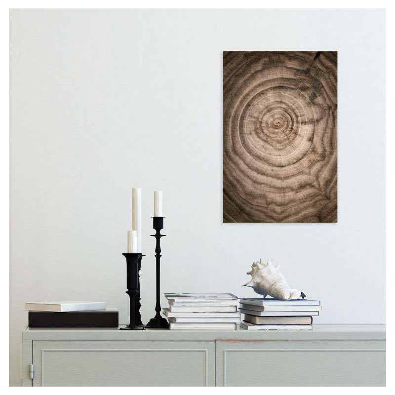 TREE RINGS poster