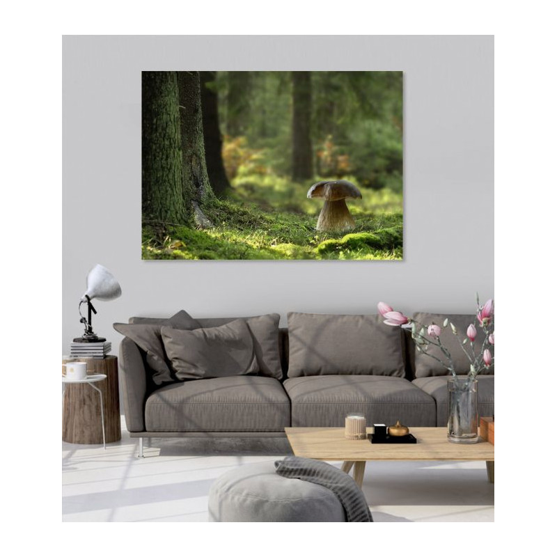 Póster fotográfico de setas en el bosque