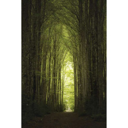 CHEMIN