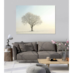 WHITE OAK poster