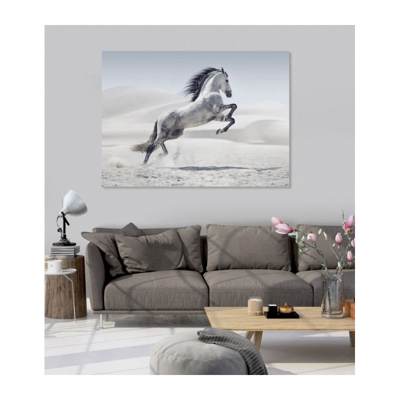 HORSE IN THE DESERT poster