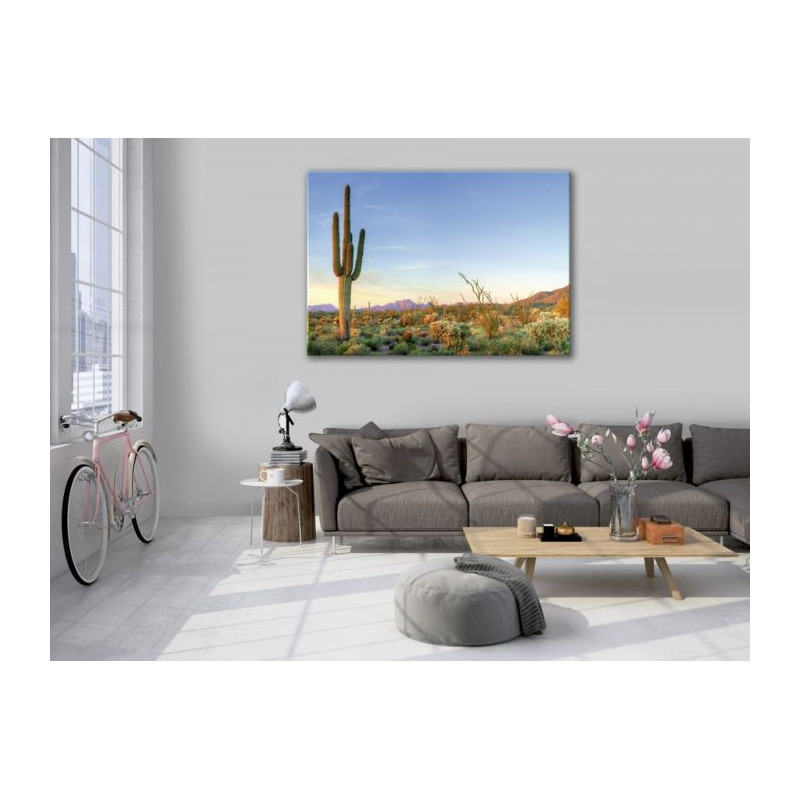 SORONA DESERT poster