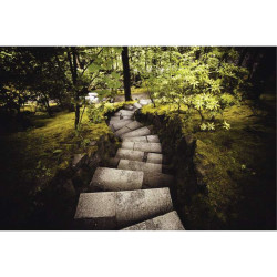 STEPS