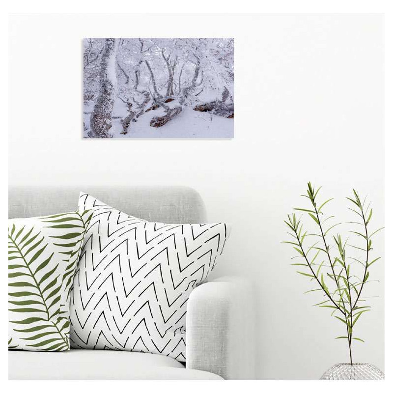 Póster FORET DE SAOU