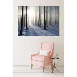 Poster FORET D'HIVER