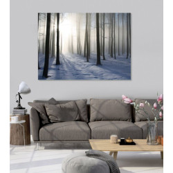 WINTER FOREST poster