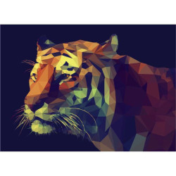 GEOMETRIA TIGRIS
